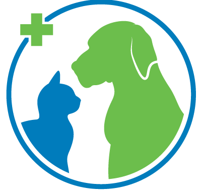 Clinical Connect – Team